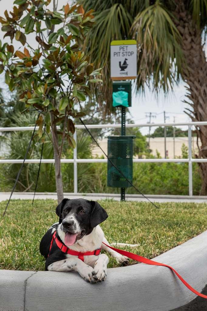 Home2 Suites By Hilton Tampa Westshore Airport Extérieur photo